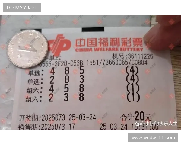 大了透第73期开奖结果震撼揭晓